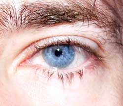 Profil de Pierre-mathieu